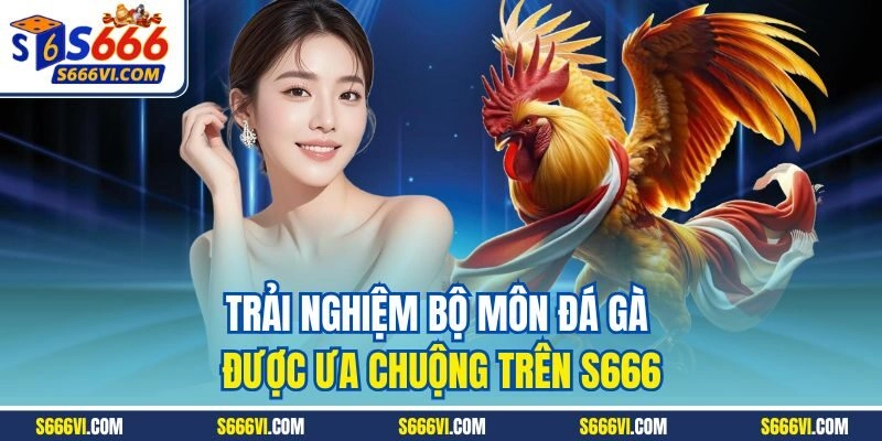 Trải nghiệm bộ môn đá gà được ưa chuộng trên S666